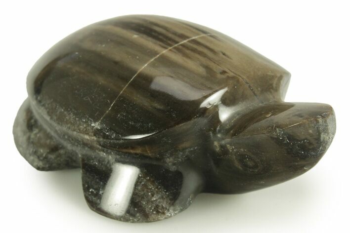 Polished Petrified Wood (Sycamore) Turtle - Nevada #366288